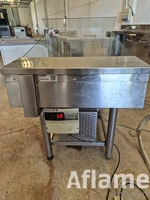 ESPOSITORE INOX PESCE FRESCO USATO